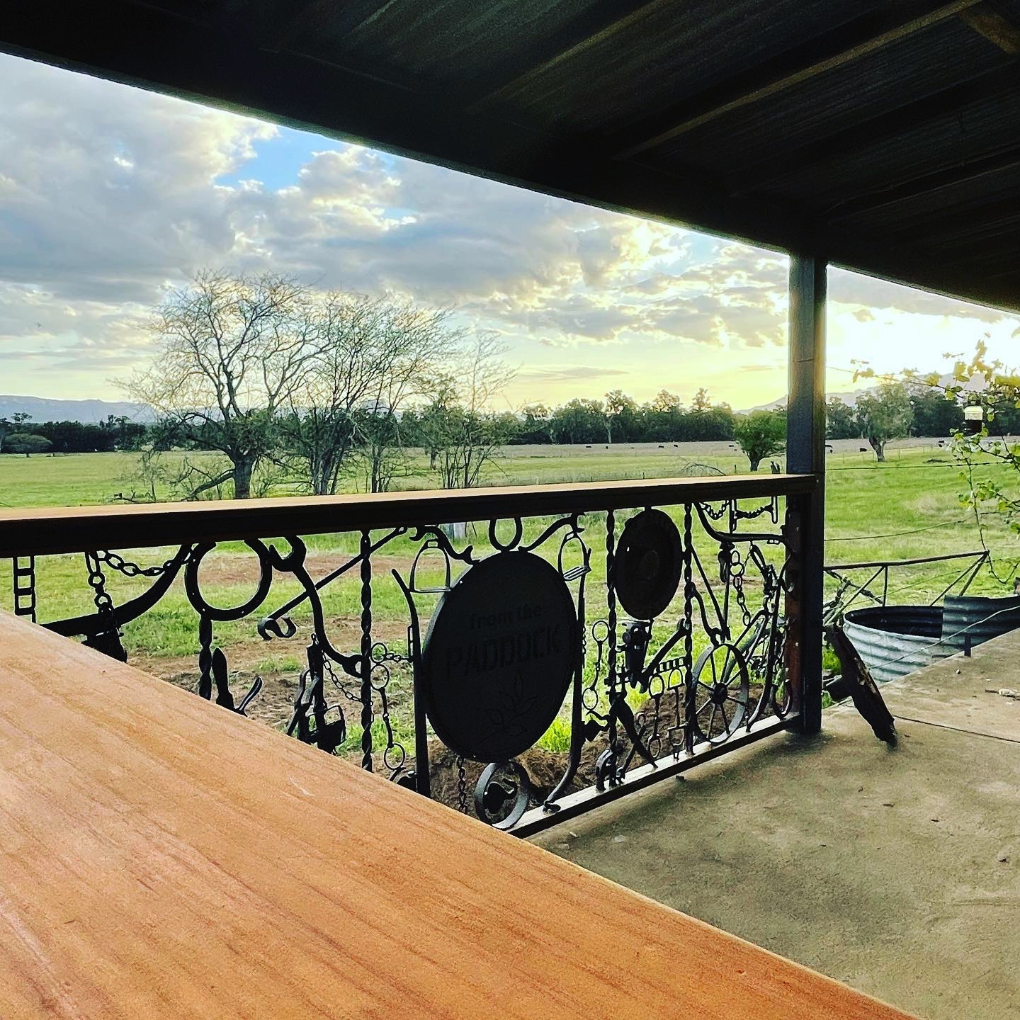Looking out from a verandah table past the iron railing to open paddocks at sunset