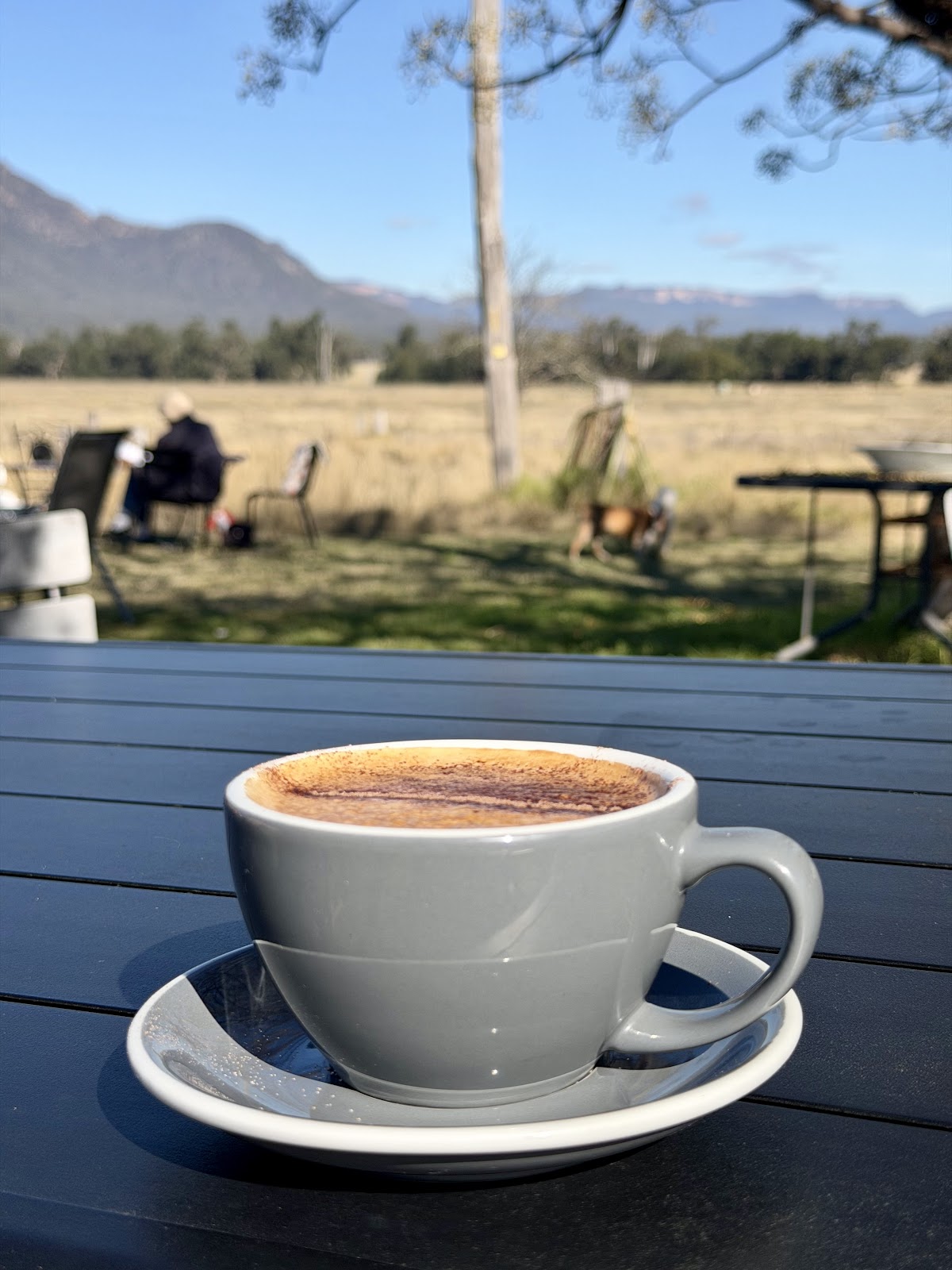 A cappuccino on an outdoor table with the paddock and sandstone escarpment behind