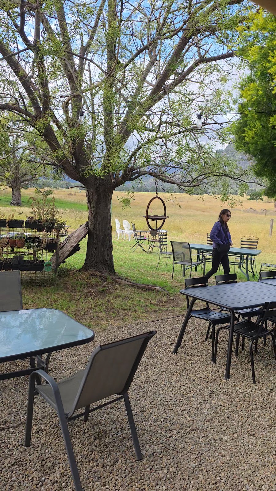 Garden tables spread under the big trees behind the cafe